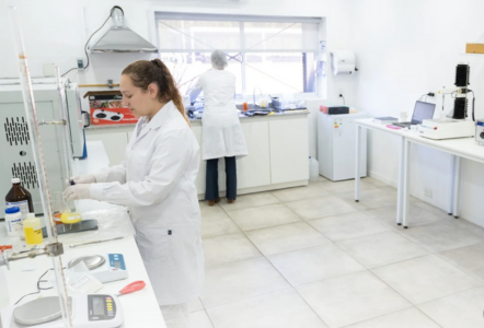 innovacion y desarrollo food technology